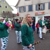 Bild: Partybilder der Party: Ringtreffen VFON 2015 in Altshausen - Umzug am 25.01.2015 in DE | Baden-Wrttemberg | Ravensburg | Altshausen