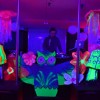 Bild: Partybilder der Party: We Love Tomorrowland Part III  - The Electric Carnival am 24.04.2015 in DE | Mecklenburg-Vorpommern | Rostock | Rostock