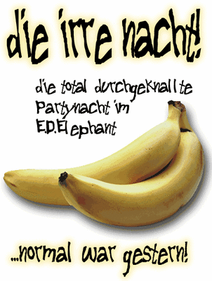 Party Flyer: DIE IRRE NACHT im E.D.ELEPHANT am 22.05.2004 in Mengen