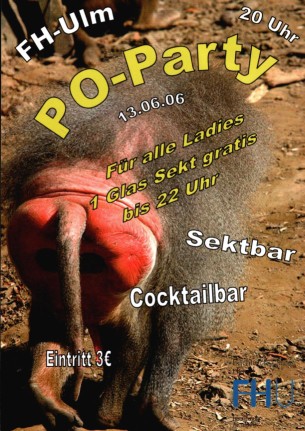 Party Flyer: PO-Party in Ulm (FH) am 13.06.2006 in Ulm