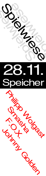 Party Flyer: Spielwiese am 28.11.2008 in Rostock