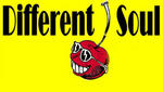 Different Soul (Live Band) am Samstag, 07.03.2009