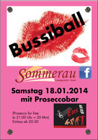 Bussi-Ball in der Sommerau am Samstag, 18.01.2014