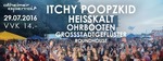 22. Altheimer Open Air am Freitag, 29.07.2016