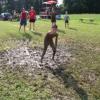 Bild: Partybilder der Party: Dorfolympiade am 18.07.2004 in DE | Baden-Wrttemberg | Biberach | Ingoldingen