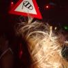 Bild: Partybilder der Party: Twister - Ride It Out am 25.09.2004 in DE | Baden-Wrttemberg | Sigmaringen | Mengen
