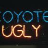 Bild: Partybilder der Party: Coyote Ugly Saloon am 15.04.2005 in DE | Baden-Wrttemberg | Sigmaringen | Scheer
