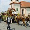 Bild: Partybilder der Party: Festumzug Kinderfest Altshausen 2005 am 26.06.2005 in DE | Baden-Wrttemberg | Ravensburg | Altshausen