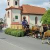 Bild/Pic: Partybilder der Party: Festumzug Kinderfest Altshausen 2005 - am So 26.06.2005 in Landkreis/Region Ravensburg | Ort/Stadt Altshausen