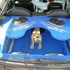 Bild: Partybilder der Party: VW Audi Tuningday and Night am 08.04.2006 in DE | Baden-Wrttemberg | Alb-Donau-Kreis | Ehingen a.d. Donau