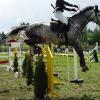 Bild: Partybilder der Party: 24. Reit- und Springturnier am 14.05.2006 in DE | Baden-Wrttemberg | Biberach | Altheim