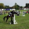 Bild: Partybilder der Party: 24. Reit- und Springturnier am 14.05.2006 in DE | Baden-Wrttemberg | Biberach | Altheim