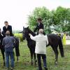 Bild: Partybilder der Party: 24. Reit- und Springturnier am 14.05.2006 in DE | Baden-Wrttemberg | Biberach | Altheim
