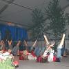 Bild: Partybilder der Party: Showtanzabend am 04.06.2006 in DE | Baden-Wrttemberg | Alb-Donau-Kreis | Griesingen