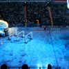 Bild: Partybilder der Party: Hamburg Freezers - Dsseldorf am 18.03.2007 in DE | Hamburg | Hamburg | Hamburg