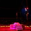 Bild: Partybilder der Party: CIRCUS KRONE - Biberach an der Ri am 29.05.2007 in DE | Baden-Wrttemberg | Biberach | Biberach an der Ri