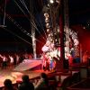 Bild: Partybilder der Party: CIRCUS KRONE - Biberach an der Ri am 29.05.2007 in DE | Baden-Wrttemberg | Biberach | Biberach an der Ri