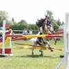 Bild: Partybilder der Party: Reitturnier des SILIT-Reitvereins Altheim am 31.05.2008 in DE | Baden-Wrttemberg | Biberach | Altheim