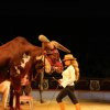 BinPartyGeil.de Fotos - Circus Probst in Laupheim am 14.08.2008 in DE-Laupheim