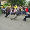 Bild: Partybilder der Party: Sommerfest Munderkingen am 20.06.2009 in DE | Baden-W�rttemberg | Alb-Donau-Kreis | Munderkingen