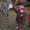 Bild: Partybilder der Party: Weihnachtsmarkt und Krippenausstellung am 12.12.2009 in DE | Baden-Wrttemberg | Alb-Donau-Kreis | Allmendingen