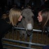 Bild: Partybilder der Party: Weihnachtsmarkt und Krippenausstellung am 12.12.2009 in DE | Baden-Wrttemberg | Alb-Donau-Kreis | Allmendingen
