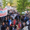 Bild: Partybilder der Party: Demonstration: Sag Ja zum FCH & F.C. Hansa Rostock - SpVgg Greuther Frth am 06.05.2012 in DE | Mecklenburg-Vorpommern | Rostock | Rostock