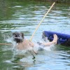 Bild: Partybilder der Party: Fischerstechen  am 21.07.2012 in DE | Baden-Wrttemberg | Biberach | Oggelshausen