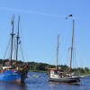 Bild: Partybilder der Party: 22. Hanse Sail Rostock 2012 am 11.08.2012 in DE | Mecklenburg-Vorpommern | Rostock | Rostock
