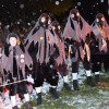 Bild: Partybilder der Party: Ausrufen der  Bad Buchauer Fasnet  am 06.02.2013 in DE | Baden-Wrttemberg | Biberach | Bad Buchau