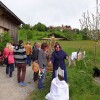 BinPartyGeil.de Fotos - Schaf- & Handarbeitstag /  Deutscher Mhlentag Bauernhausmuseum Wolfegg am 20.05.2013 in DE-Wolfegg