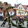 Bild: Partybilder der Party: Maibaumstellen in Bad Buchau am 30.04.2013 in DE | Baden-Wrttemberg | Biberach | Bad Buchau