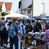 Bild: Partybilder der Party: WGB Herbstfest 2013 am 31.08.2013 in DE | Baden-Wrttemberg | Biberach | Bad Buchau