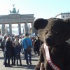 Bild: Partybilder der Party: Tag der Deutschen Einheit - Festival am Brandenburger Tor in Berlin (GER) am 03.10.2013 in DE | Berlin | Berlin | Berlin