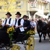 Bild: Partybilder der Party:  SCHUSSENRIEDER Oktoberfest - Das Brauereifest in Oberschwaben an allen Tagen Eintritt frei! am 03.10.2013 in DE | Baden-Wrttemberg | Biberach | Bad Schussenried