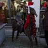 BinPartyGeil.de Fotos - 30. Christkindlesmarkt Riedlingen am 07.12.2013 in DE-Riedlingen