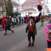 BinPartyGeil.de Fotos - Groer Jubilumsumzug des NV Knigseggwald am 19.01.2014 in DE-Knigseggwald