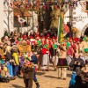 Bild: Partybilder der Party: Groes VSAN-Narrentreffen in Riedlingen mit ber 5000 Maskentrgern am 23.02.2014 in DE | Baden-Wrttemberg | Biberach | Riedlingen