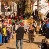 Bild: Partybilder der Party: Groes VSAN-Narrentreffen in Riedlingen mit ber 5000 Maskentrgern am 23.02.2014 in DE | Baden-Wrttemberg | Biberach | Riedlingen