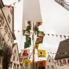Bild: Partybilder der Party: Groes VSAN-Narrentreffen in Riedlingen mit ber 5000 Maskentrgern am 23.02.2014 in DE | Baden-Wrttemberg | Biberach | Riedlingen