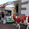 Bild: Partybilder der Party: Happy Family Day 2014 - Oberschwabens grte Umwelt-, Sport und Gesundheitsveranstaltung am 15.06.2014 in DE | Baden-Wrttemberg | Sigmaringen | Bad Saulgau