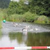 Bild: Partybilder der Party: 25. Ebenweiler Triathlon 2014 am 13.07.2014 in DE | Baden-Wrttemberg | Ravensburg | Ebenweiler