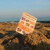 Bild: Partybilder der Party: Tag & Nacht am Strand Open Air 2014 am 05.07.2014 in DE | Mecklenburg-Vorpommern | Rostock | Rostock