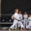 Bild: Partybilder der Party: Stadtfest Bad Bevesen am 26.07.2014 in DE | Niedersachsen | Uelzen | Bevensen
