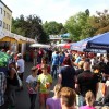 Bild: Partybilder der Party: 36. Schloss- und Kinderfest  am 16. und 17. August 2014 am 17.08.2014 in DE | Baden-Wrttemberg | Ravensburg | Aulendorf