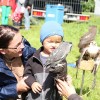 Bild: Partybilder der Party: 3. Oberschwbische Highlndgames Wilhelmskirch am 16.08.2014 in DE | Baden-Wrttemberg | Ravensburg | Horgenzell