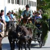 Bild: Partybilder der Party: SCHUSSENRIEDER Oktoberfest - Das Brauereifest in Oberschwaben am 03.10.2014 in DE | Baden-Wrttemberg | Biberach | Bad Schussenried