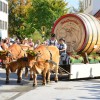 Bild: Partybilder der Party: SCHUSSENRIEDER Oktoberfest - Das Brauereifest in Oberschwaben am 03.10.2014 in DE | Baden-Wrttemberg | Biberach | Bad Schussenried