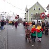 Bild: Partybilder der Party: Ringtreffen VFON 2015 in Altshausen - Umzug am 25.01.2015 in DE | Baden-Wrttemberg | Ravensburg | Altshausen