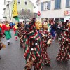 Bild: Partybilder der Party: Ringtreffen VFON 2015 in Altshausen - Umzug am 25.01.2015 in DE | Baden-Wrttemberg | Ravensburg | Altshausen
